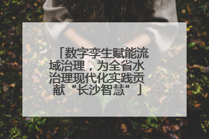 数字孪生赋能流域治理，为全省水治理现代化实践贡献“长沙智慧”