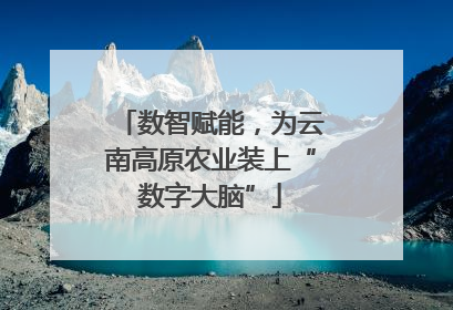 数智赋能，为云南高原农业装上“数字大脑”