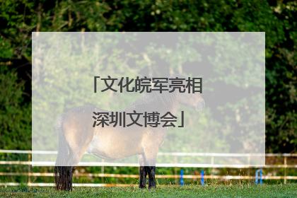 文化皖军亮相深圳文博会
