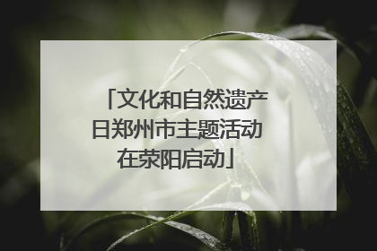 文化和自然遗产日郑州市主题活动在荥阳启动