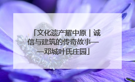 文化遗产耀中原｜诚信与建筑的传奇故事——邓城叶氏庄园