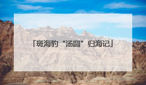 斑海豹“汤圆”归海记