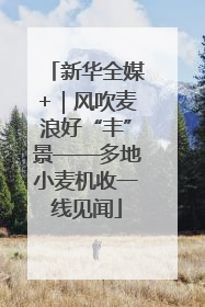 新华全媒+｜风吹麦浪好“丰”景——多地小麦机收一线见闻