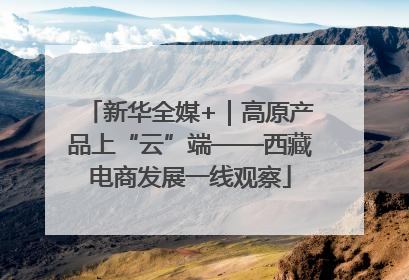 新华全媒+｜高原产品上“云”端——西藏电商发展一线观察