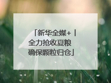 新华全媒+丨全力抢收夏粮 确保颗粒归仓