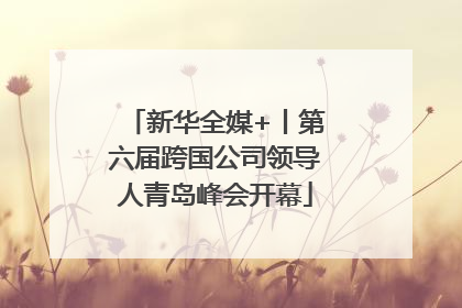 新华全媒+丨第六届跨国公司领导人青岛峰会开幕