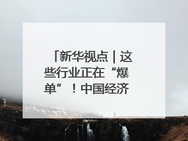 新华视点｜这些行业正在“爆单”！中国经济活力密码