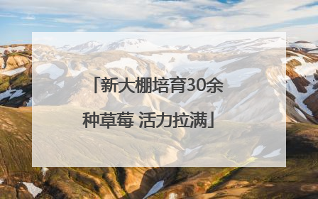 新大棚培育30余种草莓 活力拉满