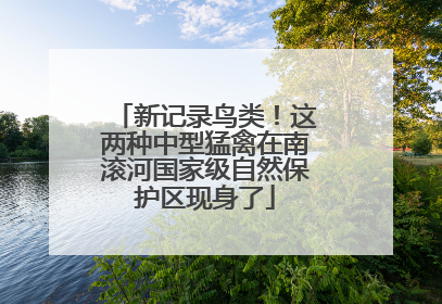 新记录鸟类！这两种中型猛禽在南滚河国家级自然保护区现身了