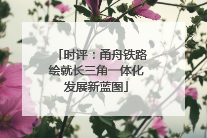 时评：甬舟铁路绘就长三角一体化发展新蓝图