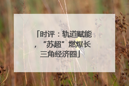 时评：轨道赋能，“苏超”燃爆长三角经济圈