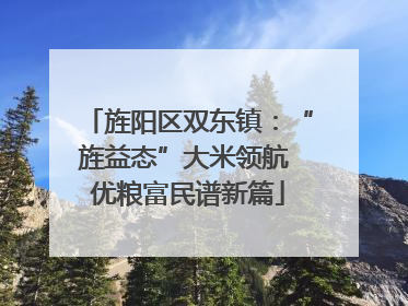 旌阳区双东镇：“旌益态”大米领航 优粮富民谱新篇