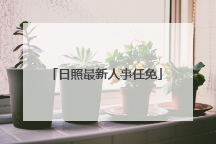 日照最新人事任免