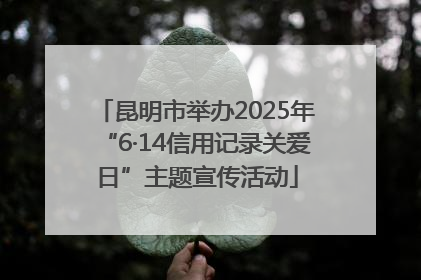 昆明市举办2025年“6·14信用记录关爱日”主题宣传活动