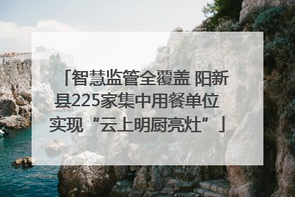 智慧监管全覆盖 阳新县225家集中用餐单位实现“云上明厨亮灶”