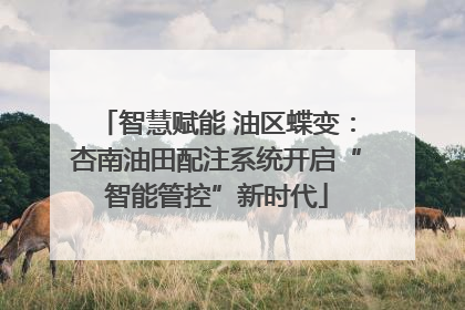 智慧赋能 油区蝶变：杏南油田配注系统开启“智能管控”新时代