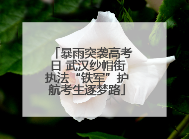暴雨突袭高考日 武汉纱帽街执法“铁军”护航考生逐梦路