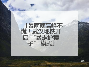 暴雨晚高峰不慌！武汉地铁开启 “暴走护犊子” 模式
