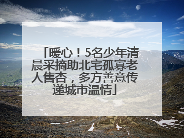 暖心！5名少年清晨采摘助北宅孤寡老人售杏，多方善意传递城市温情