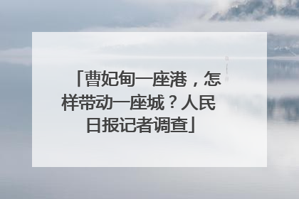 曹妃甸一座港，怎样带动一座城？人民日报记者调查