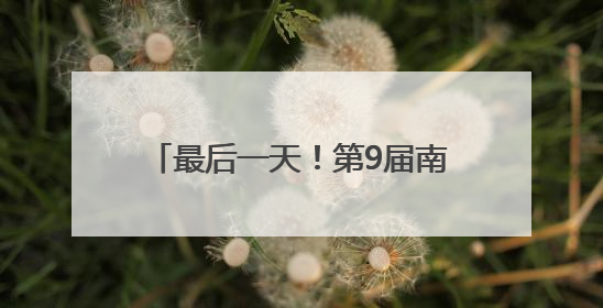 最后一天！第9届南博会终极扫货攻略