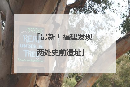 最新！福建发现两处史前遗址