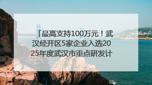 最高支持100万元！武汉经开区5家企业入选2025年度武汉市重点研发计划拟立项项目名单