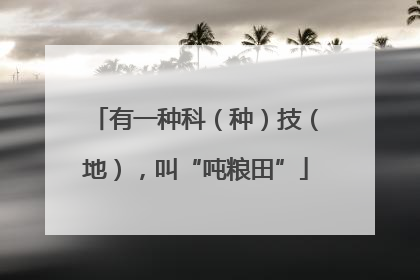 有一种科（种）技（地），叫“吨粮田”