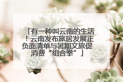 有一种叫云南的生活！云南发布旅居发展正负面清单与暑期文旅促消费“组合拳”