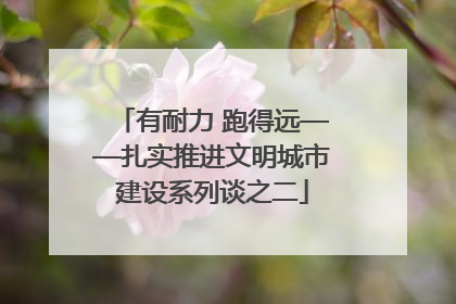 有耐力 跑得远——扎实推进文明城市建设系列谈之二