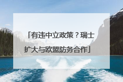 有违中立政策？瑞士扩大与欧盟防务合作