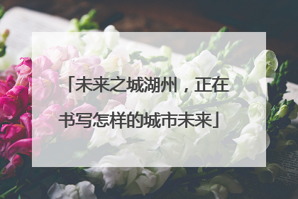 未来之城湖州，正在书写怎样的城市未来