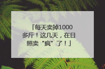 每天卖掉1000多斤！这几天，在日照卖“疯”了！