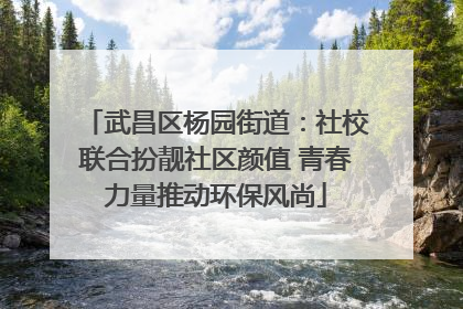 武昌区杨园街道：社校联合扮靓社区颜值 青春力量推动环保风尚