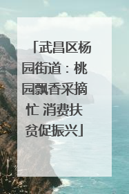 武昌区杨园街道：桃园飘香采摘忙 消费扶贫促振兴