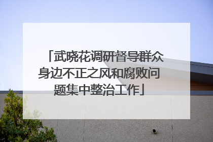 武晓花调研督导群众身边不正之风和腐败问题集中整治工作