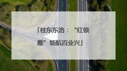 桂东东洛：“红领雁”领航百业兴