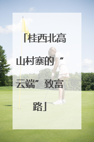 桂西北高山村寨的“云端”致富路