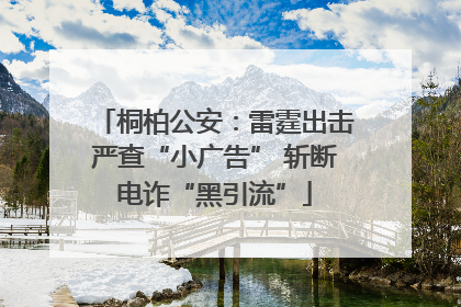 桐柏公安：雷霆出击严查“小广告” 斩断电诈“黑引流”