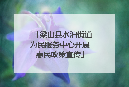 梁山县水泊街道为民服务中心开展惠民政策宣传
