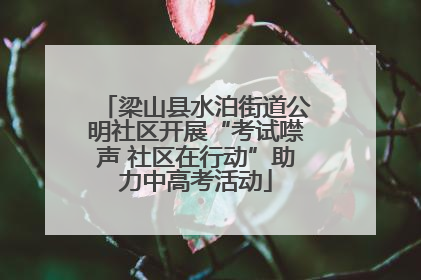 梁山县水泊街道公明社区开展“考试噤声 社区在行动”助力中高考活动