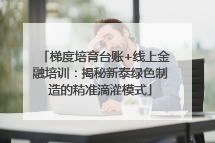 梯度培育台账+线上金融培训：揭秘新泰绿色制造的精准滴灌模式