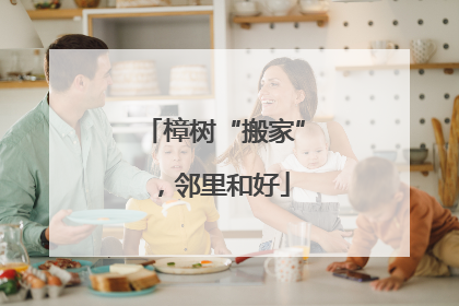 樟树“搬家”，邻里和好