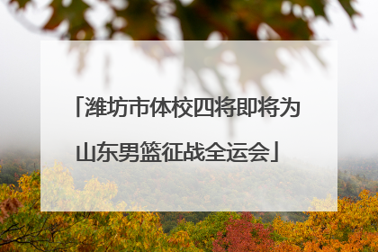 潍坊市体校四将即将为山东男篮征战全运会
