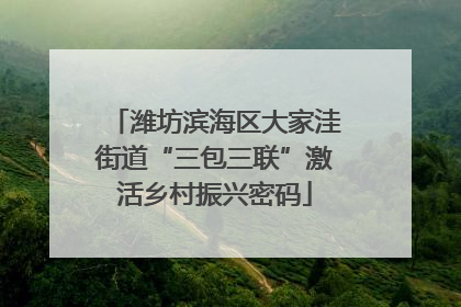 潍坊滨海区大家洼街道“三包三联”激活乡村振兴密码