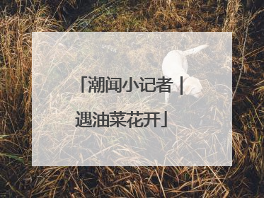 潮闻小记者｜遇油菜花开