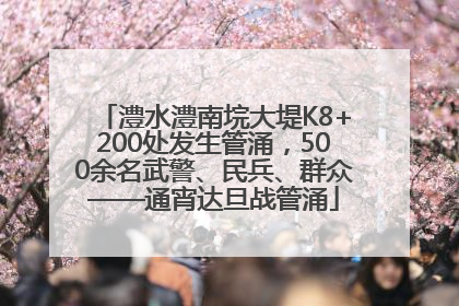澧水澧南垸大堤K8+200处发生管涌，500余名武警、民兵、群众——通宵达旦战管涌