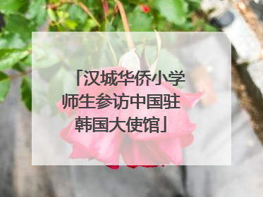 汉城华侨小学师生参访中国驻韩国大使馆