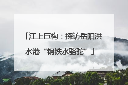 江上巨构：探访岳阳洪水港“钢铁水骆驼”