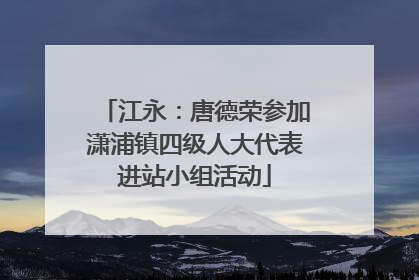 江永：唐德荣参加潇浦镇四级人大代表进站小组活动